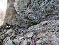 Jannu 004